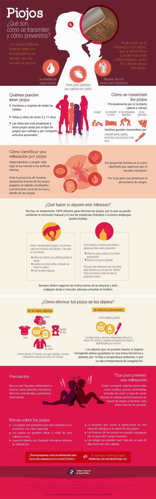 Piojos ¿Qué son, como se trasmiten y como prevenirlos?