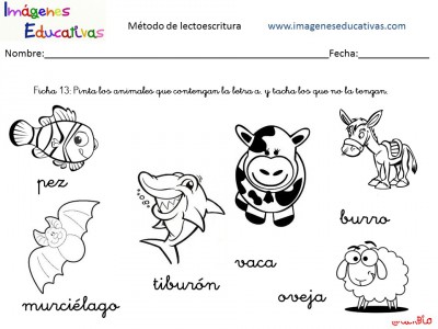 Diapositiva14