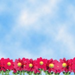 Imgenes primavera (102)