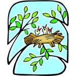 Imgenes primavera (131)