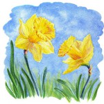 Imgenes primavera (39)