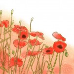 Imgenes primavera (43)