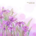 Imgenes primavera (45)