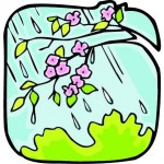 Imgenes primavera (5)