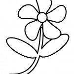 Primavera Imagenes (122)