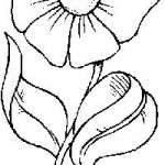 Primavera Imagenes (136)