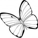 Primavera Imagenes (197)
