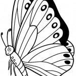 Primavera Imagenes (198)