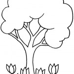 Primavera Imagenes (2)