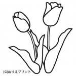 Primavera Imagenes (208)