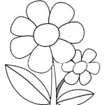 Primavera Imagenes (268)