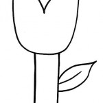 Primavera Imagenes (272)