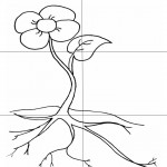 Primavera Imagenes (7)
