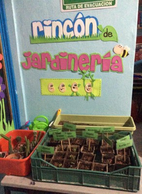 Primavera Rincones (9)