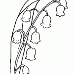 campanilla
