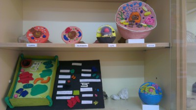 Proyecto célula (3)