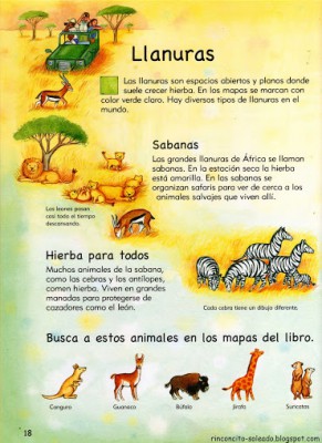 Atlas Infantil en Imágenes (19)