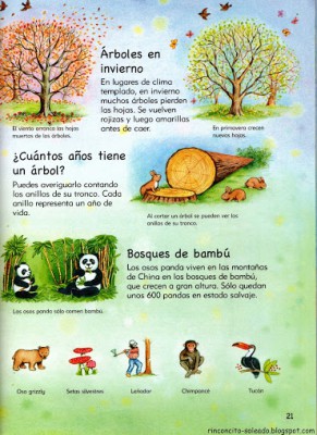 Atlas Infantil en Imágenes (22)