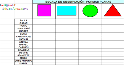 Registro de Observación1