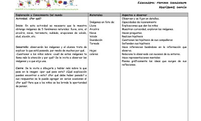 Plan de Diagnostico Ciclo 2015 – 2016 (5)