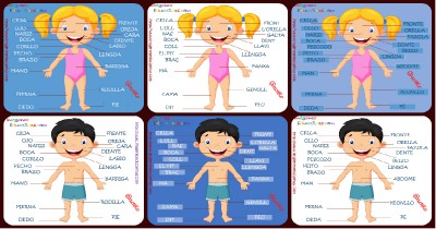 Partes del cuerpo Castellano, Catalán y GalegoPortada