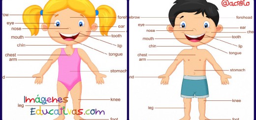 Partes del cuerpo ingles niña niño portada 2