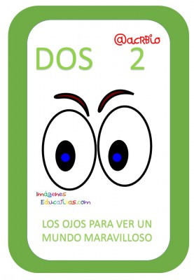 Preciosas cartas para aprender los números jugando  (2)