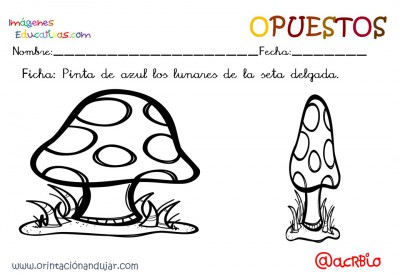 Cuaderno otoño opuestos IE (13)