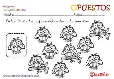 Cuaderno otoño opuestos IE (14)