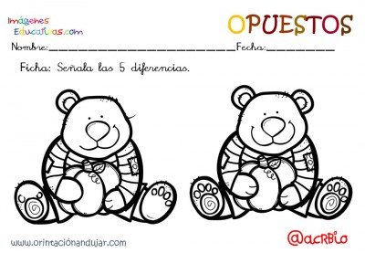 Cuaderno otoño opuestos IE (16)