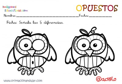 Cuaderno otoño opuestos IE (17)