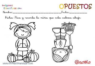 Cuaderno otoño opuestos IE (19)