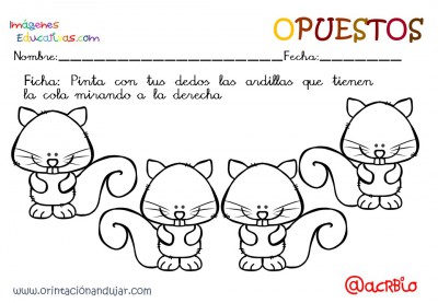 Cuaderno otoño opuestos IE (21)