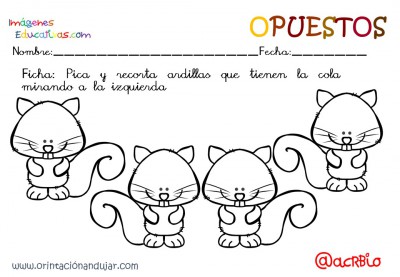 Cuaderno otoño opuestos IE (22)