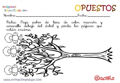 Cuaderno otoño opuestos IE (24)
