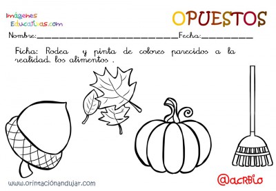 Cuaderno otoño opuestos IE (27)