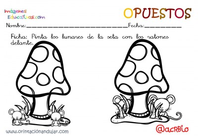 Cuaderno otoño opuestos IE (31)