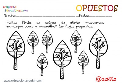Cuaderno otoño opuestos IE (4)