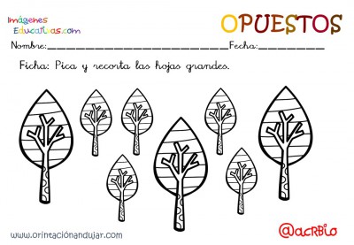 Cuaderno otoño opuestos IE (5)
