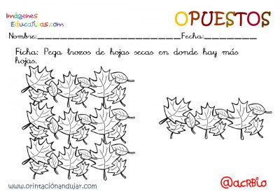 Cuaderno otoño opuestos IE (8)