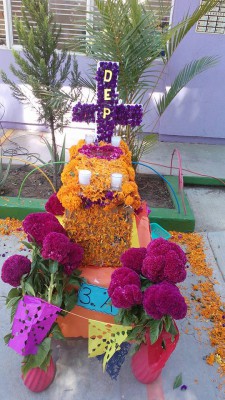 Decoraciones Día de los Muertos (7)