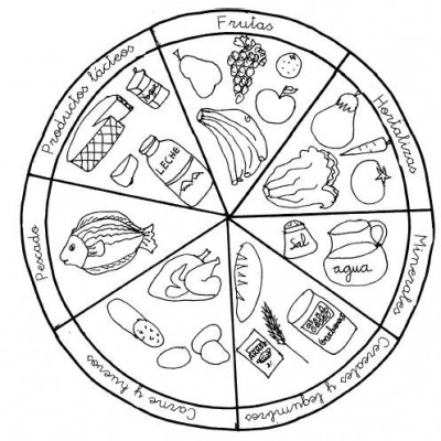 Rueda de alimentos