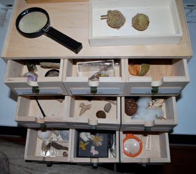 Montessori área de ciencias y naturaleza 3