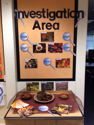 Montessori área de ciencias y naturaleza 4