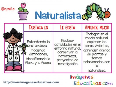 Inteligencias Multiples en pocas palabras (8)