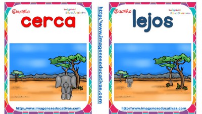 Opuetos tarjetas (2)