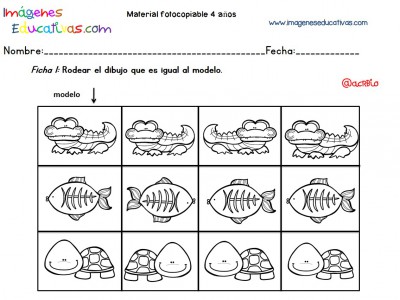 Cuadernillo complementario para 4 años, Educación Preescolar (1)