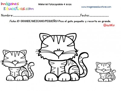 Cuadernillo complementario para 4 años, Educación Preescolar (10)