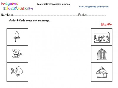 Cuadernillo complementario para 4 años, Educación Preescolar (9)