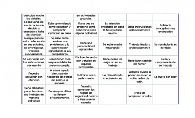 FRASES APROPIADAS PARA INCLUIR EN OBSERVACIONES DE BOLETAS (2)